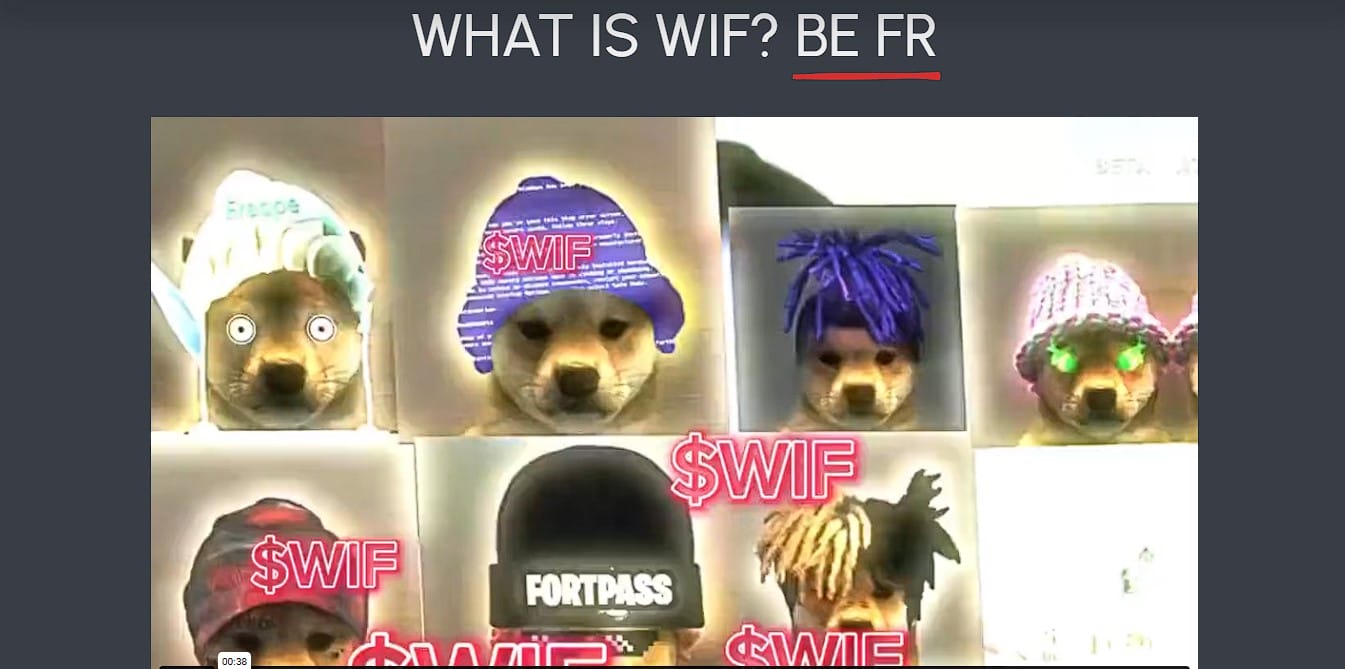 Saiba o que é e conheça a previsão de preço de Dogwifhat