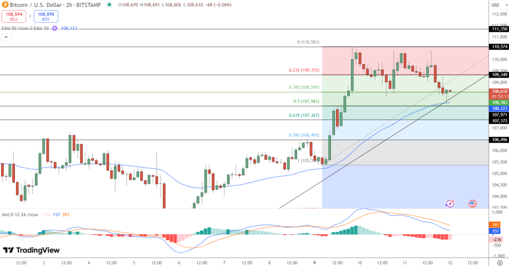 Gráfico do Bitcoin (BTC) no TradingView