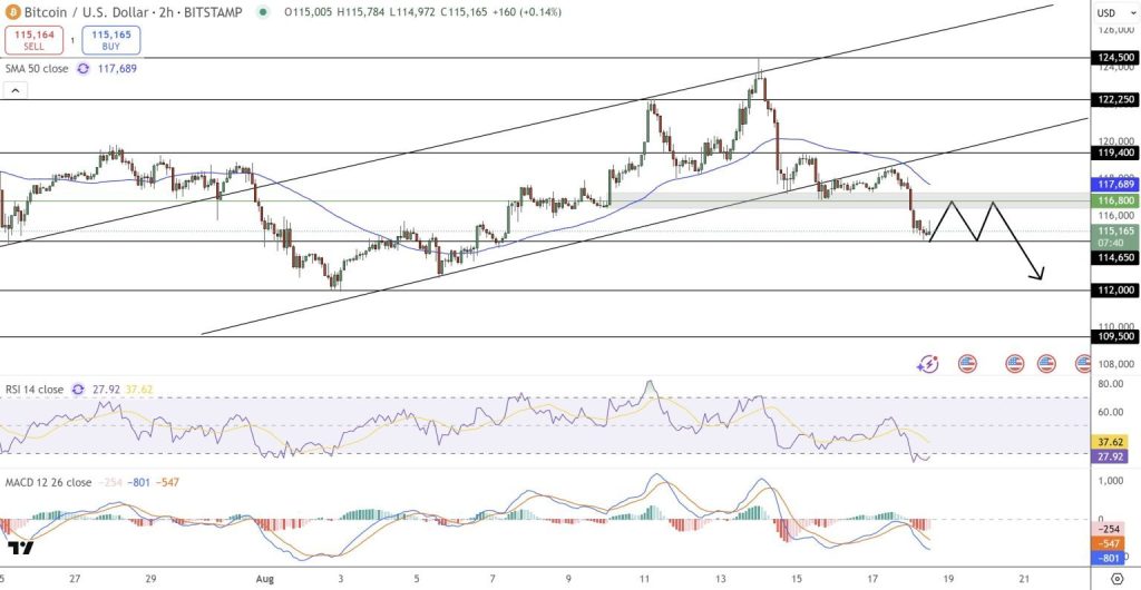 Gráfico do Bitcoin (BTC) no TradingView