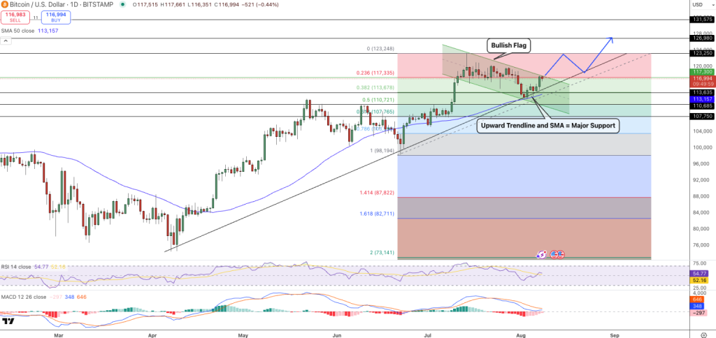 Gráfico do Bitcoin (BTC) no TradingView