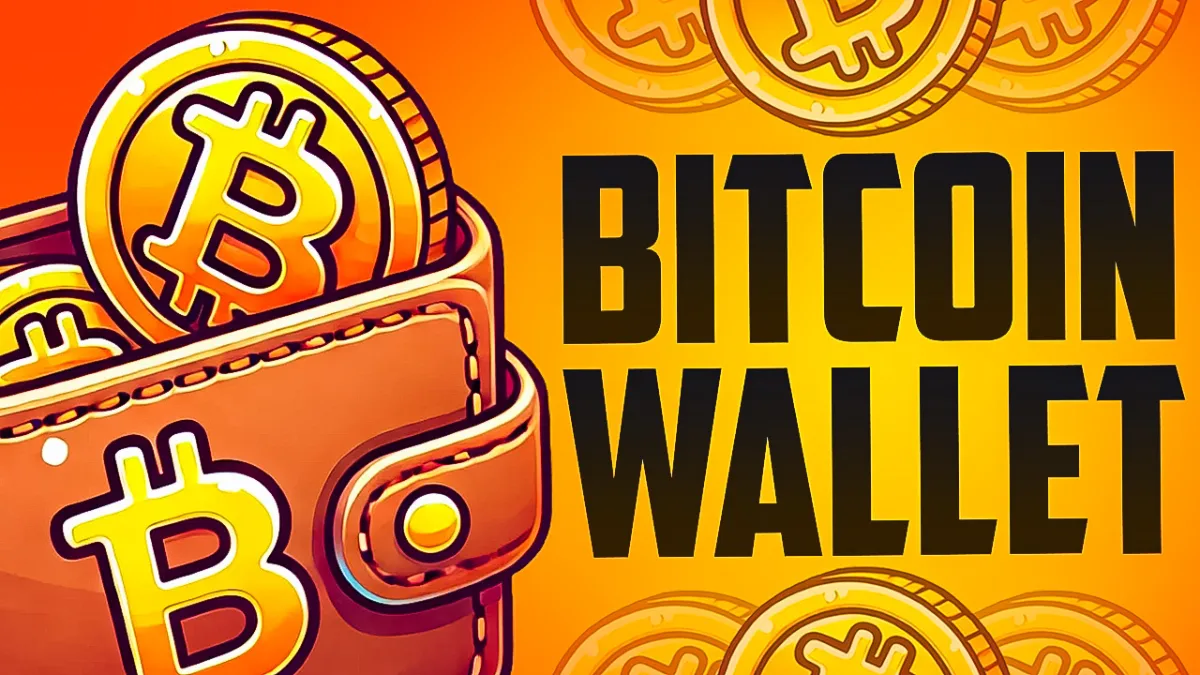 Welche Art von Wallets für Bitcoins?