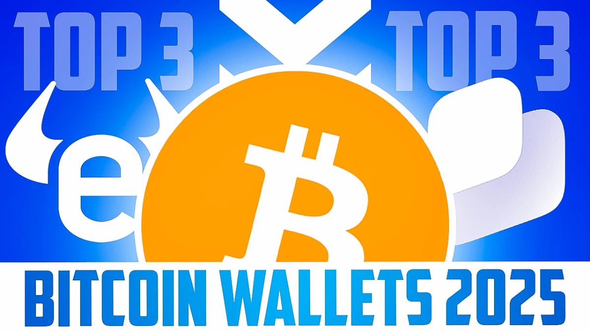 Unsere Top 3 Bitcoin-Wallets