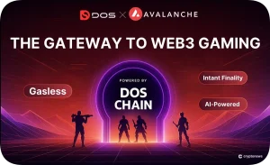 Dos und Avalanche