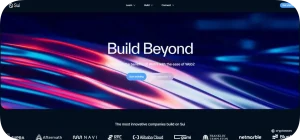 Sui Coin Homepage