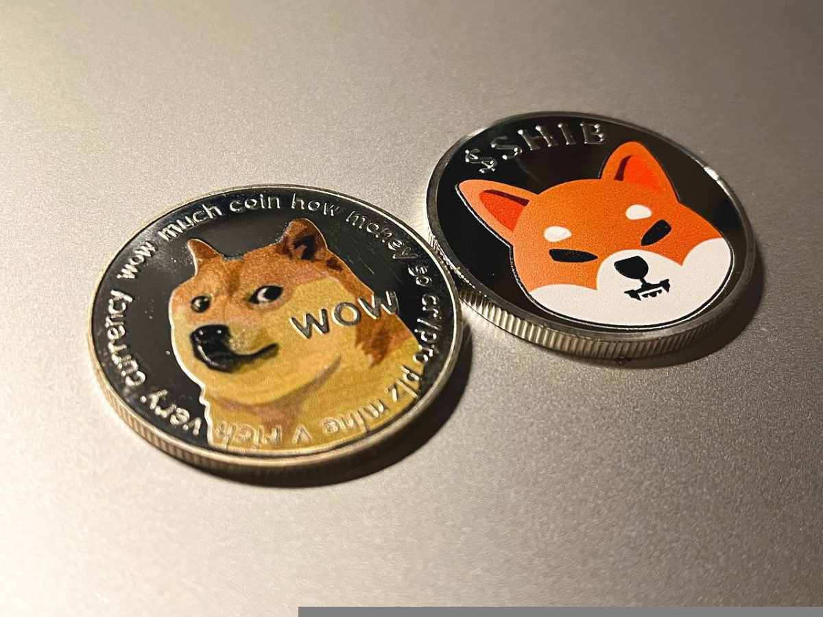Dogecoin y Shiba Inu - mejores shitcoins