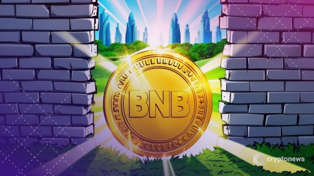 BNB kolikko loistaa niityllä.