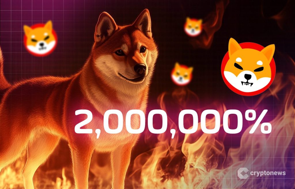shiba inu meemikolikon koira seisoo liekeissä.