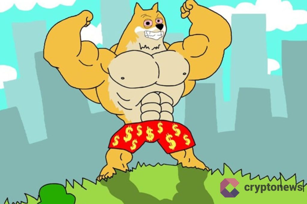 Maxi doge