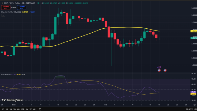 Grafico dei prezzi di XRP - Fonte TradingView