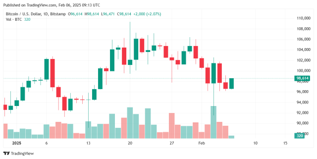 Grafico dei prezzi di Bitcoin - Fonte TradingView
