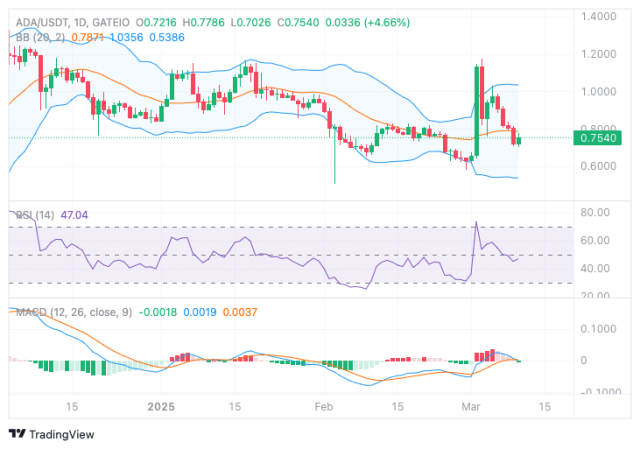 Prezzo Cardano. Fonte: TradingView