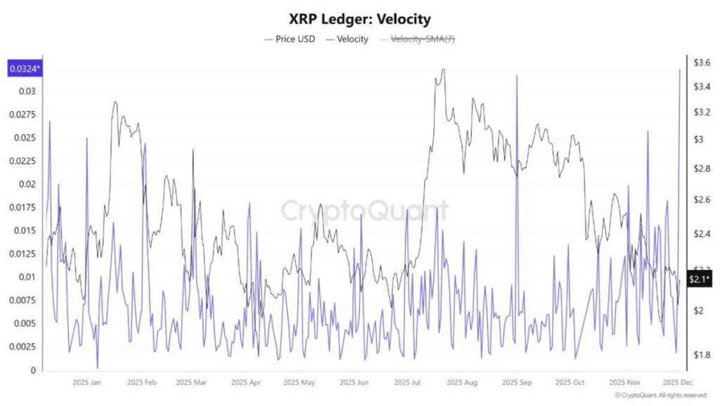 Velocità del registro XRP. Fonte: CryptoQuant