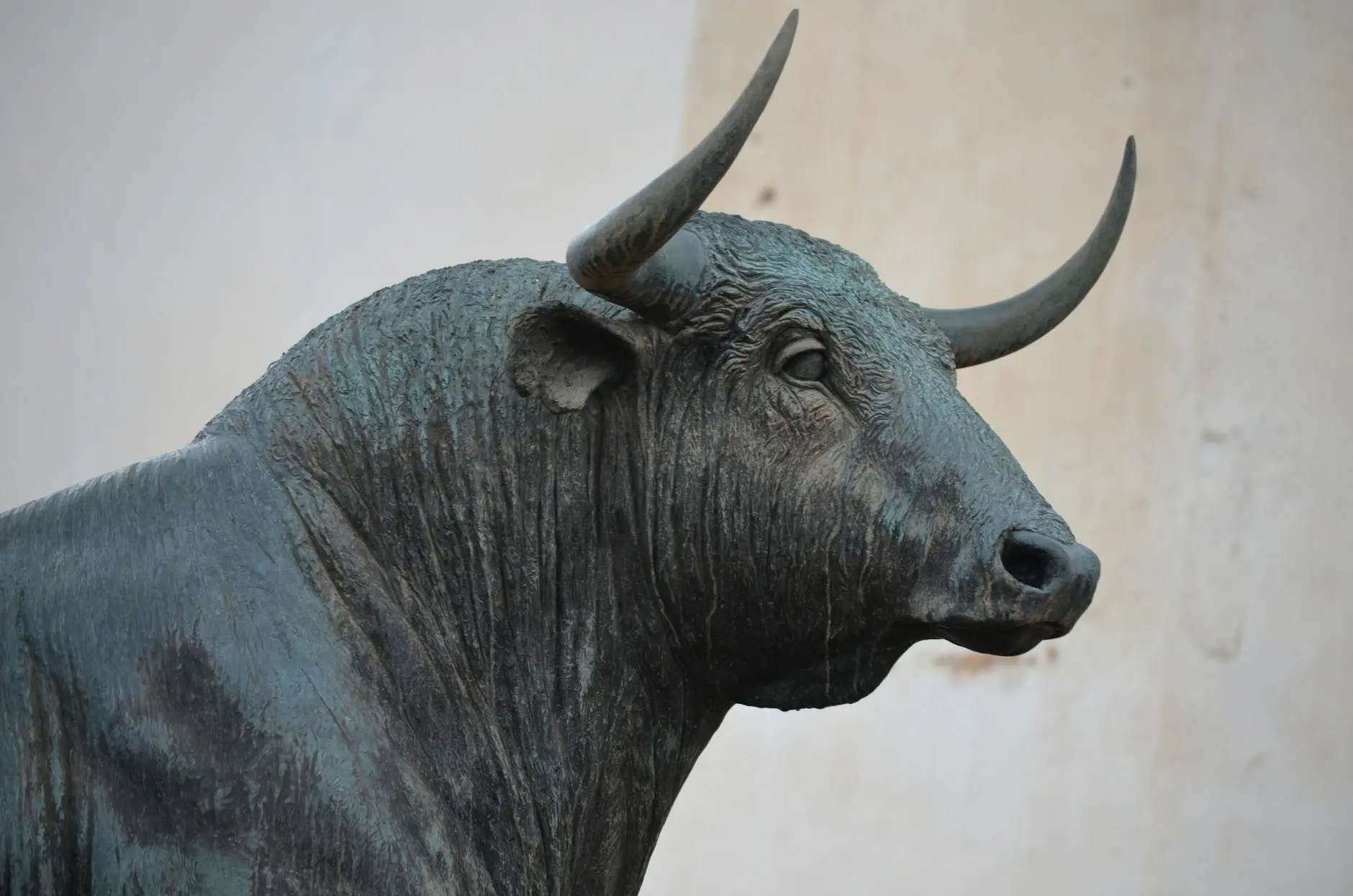 Close-up view of the Wall Street bull statue, showcasing its features.