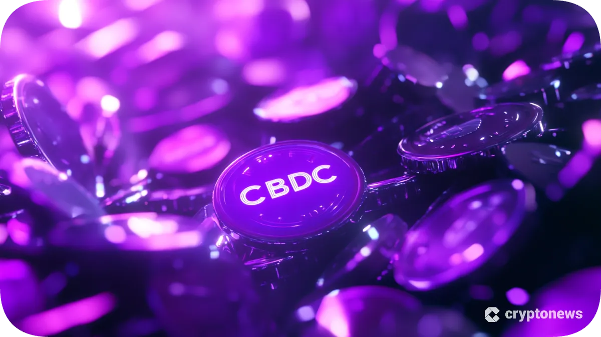 大量のCBDCのイメージ