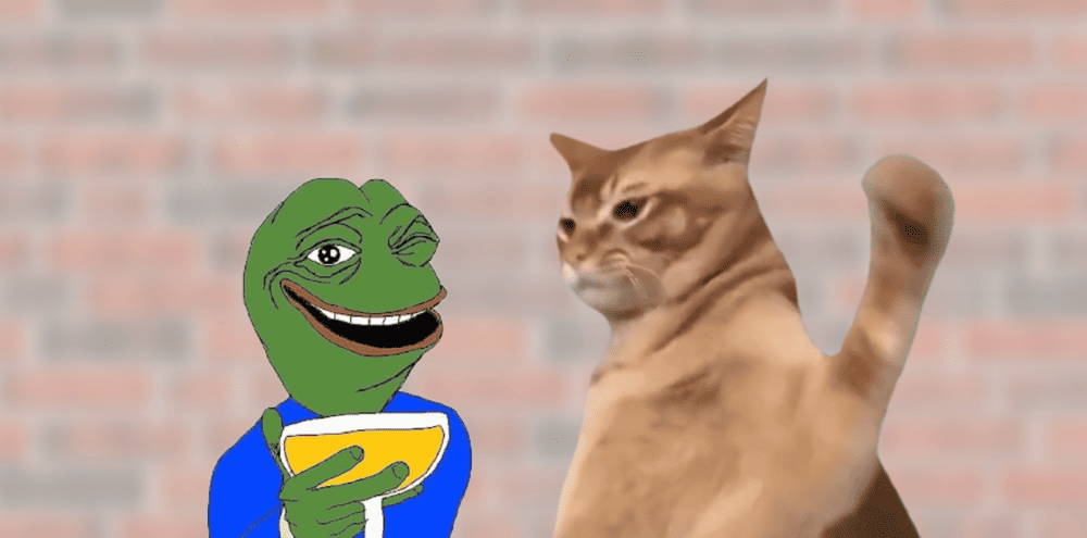 캣슬랩