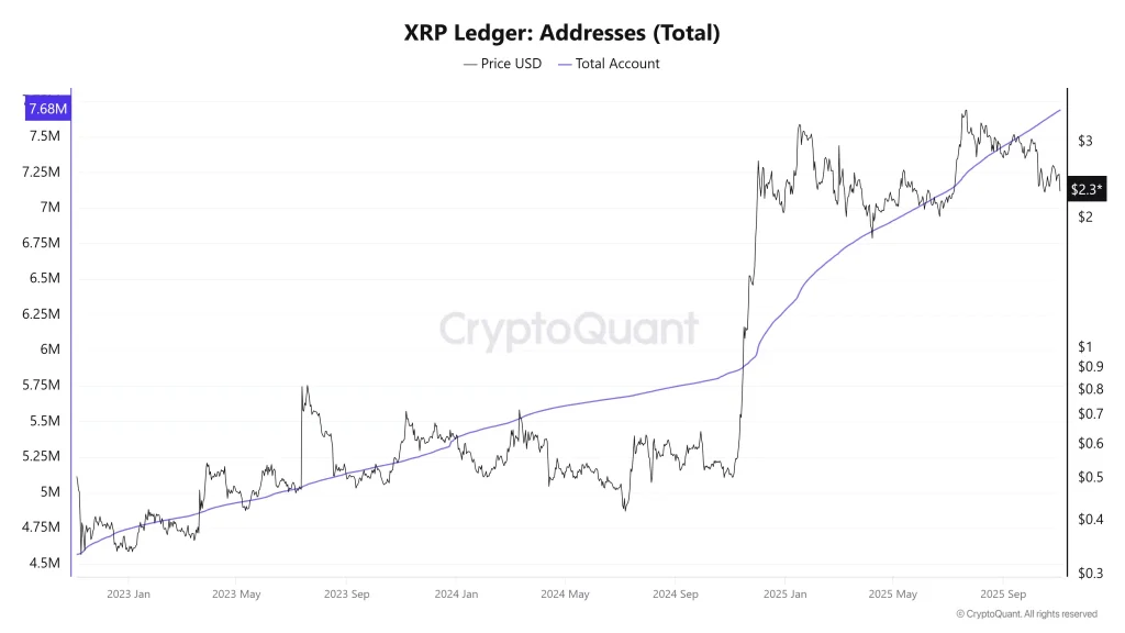 xrp 레저 주소 수