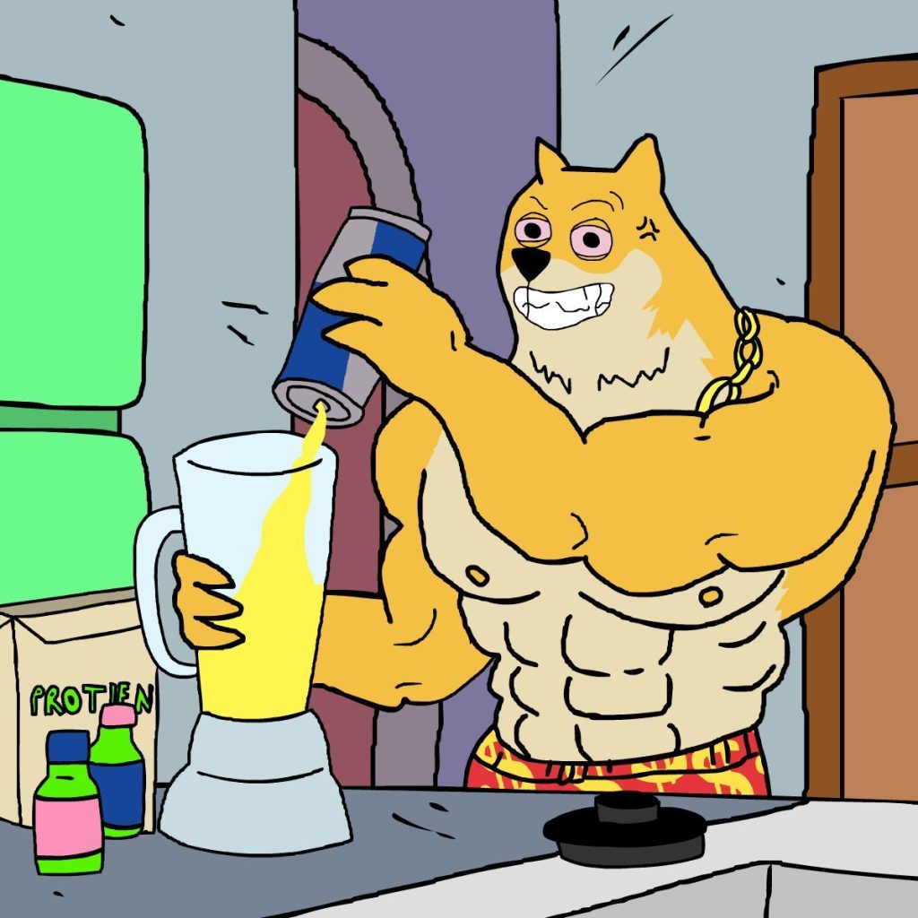 맥시도지 프리세일