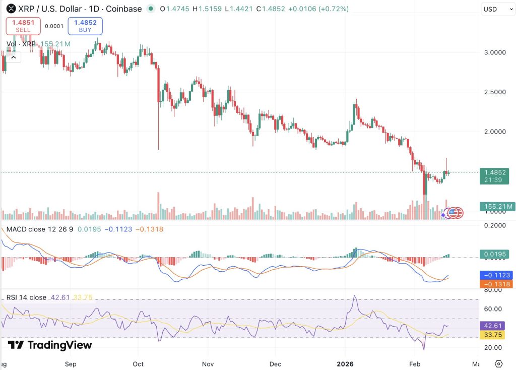 리플 차트