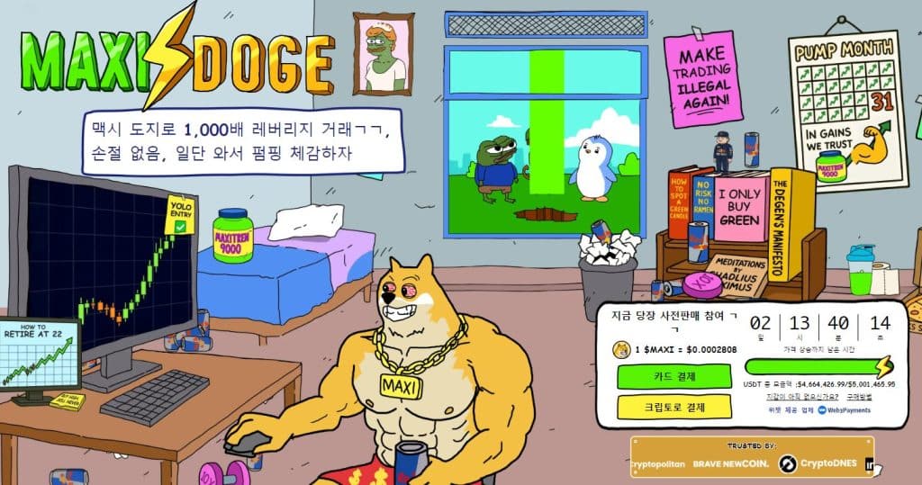 맥시 도지 프리세일 사이트