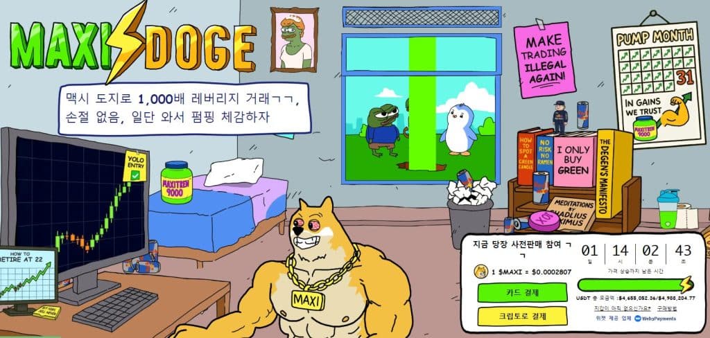 맥시 도지 사전판매 웹사이트