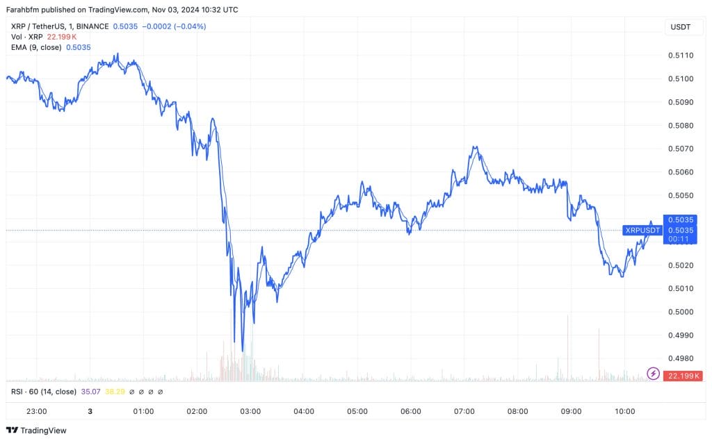 XRP koers van de afgelopen 24 uur - Bron: TradingView