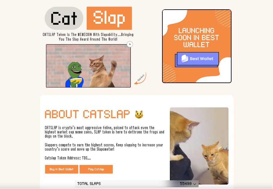 catslap lancering