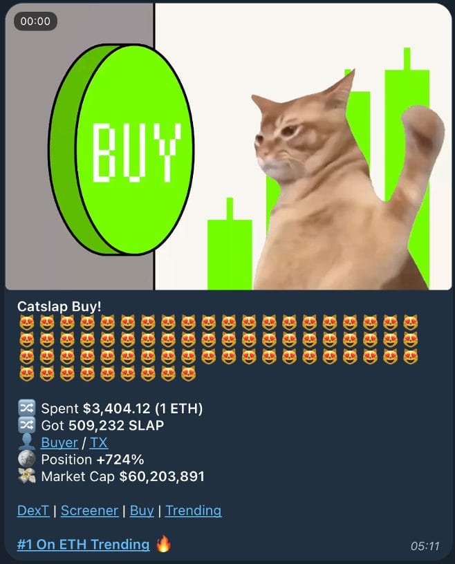 CatSlap $SLAP Telegram kanaal