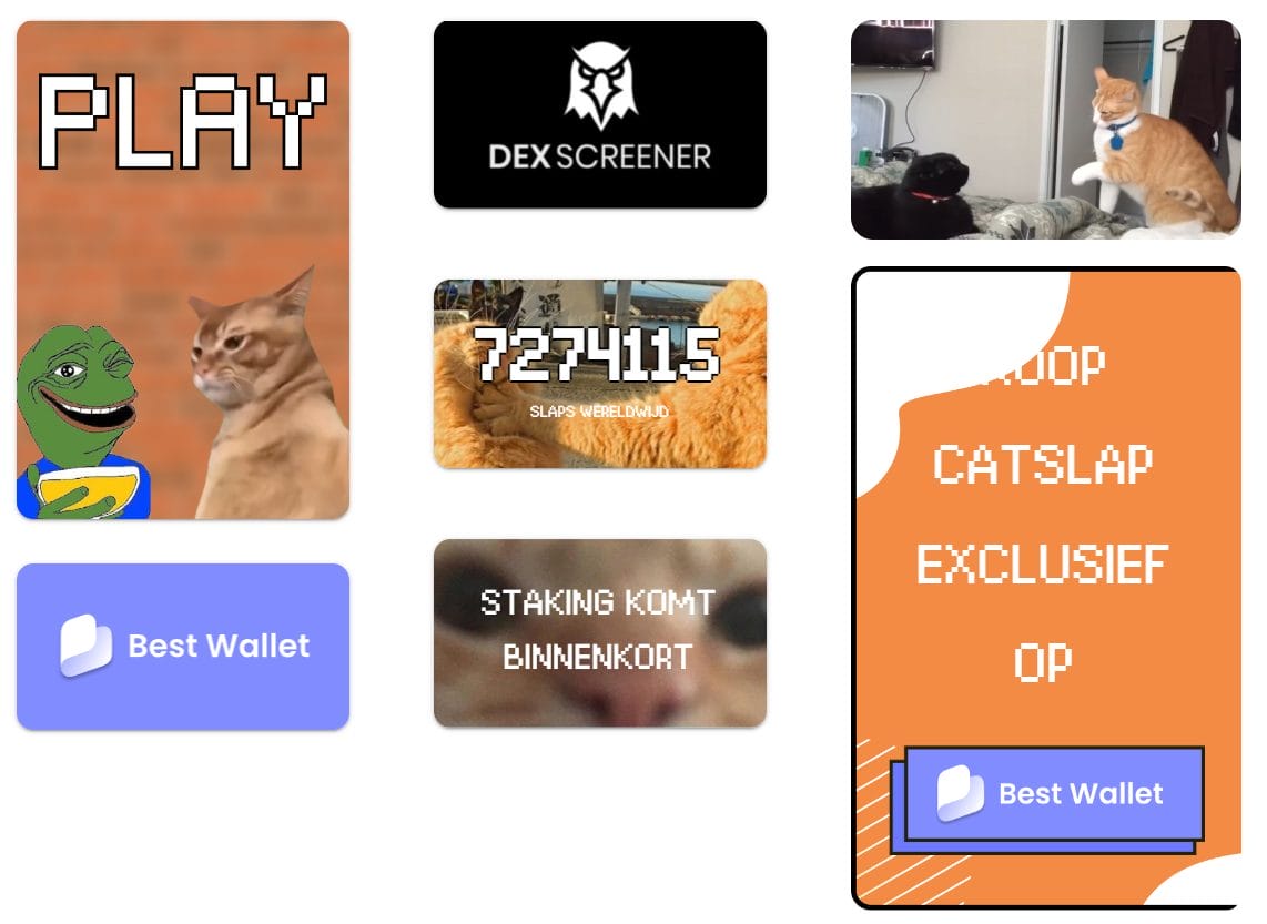 Catslap koers verwchting 2024, 2025, 2030