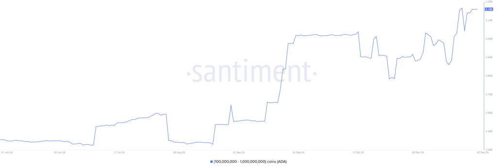 Cardano whales