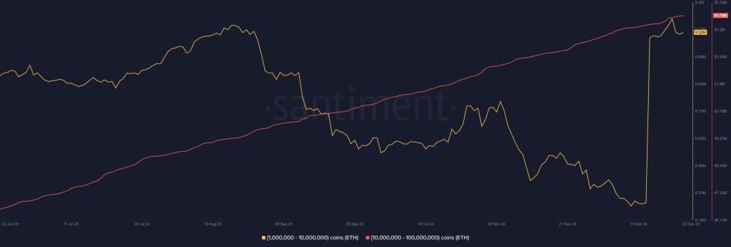 Whale accumulatie Ethereum