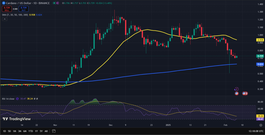 Cardano koers grafiek