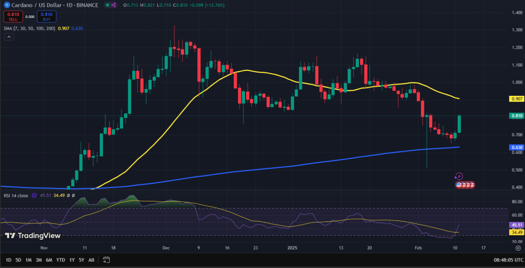 Cardano koers grafiek