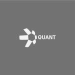 Quant crypto opkomende munt 2025