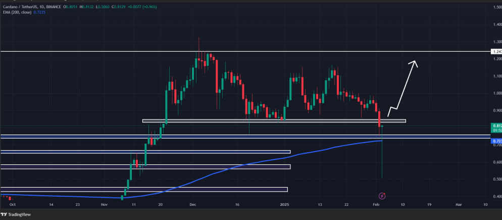 Source: Trading View