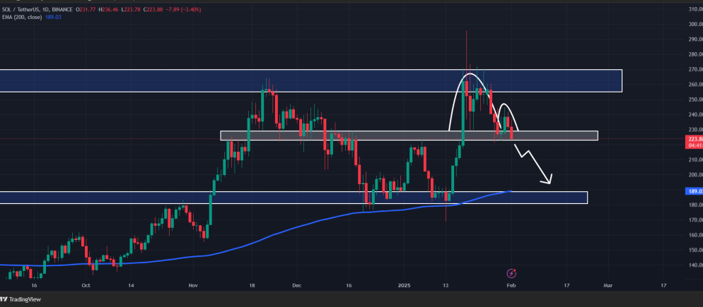 Source: Trading View