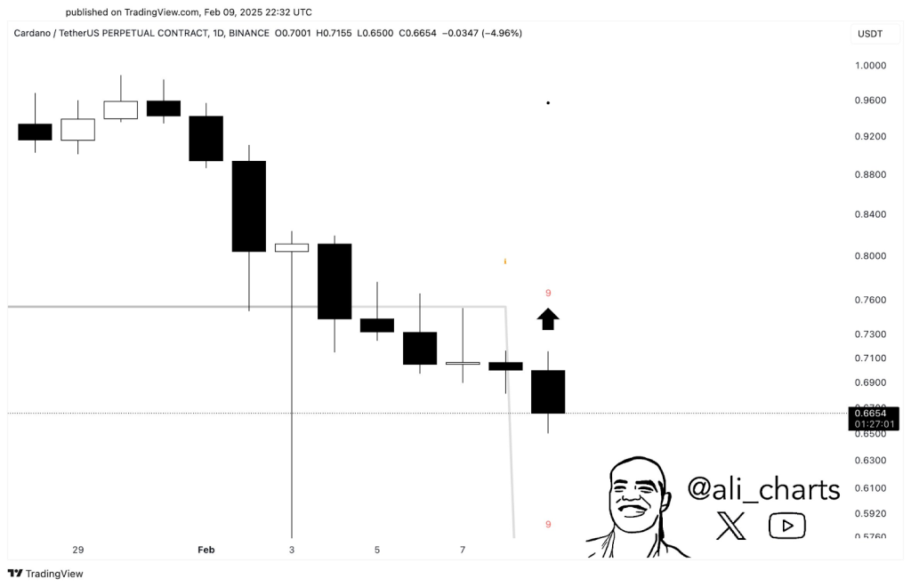 Technische analyse Cardano