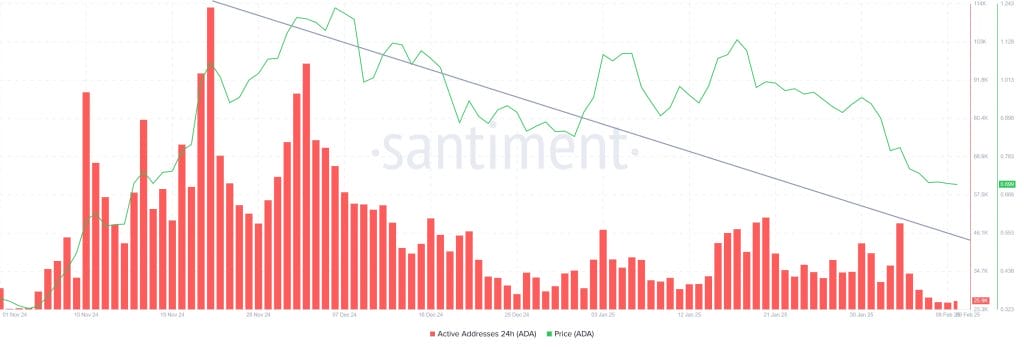 Actieve adressen Cardano