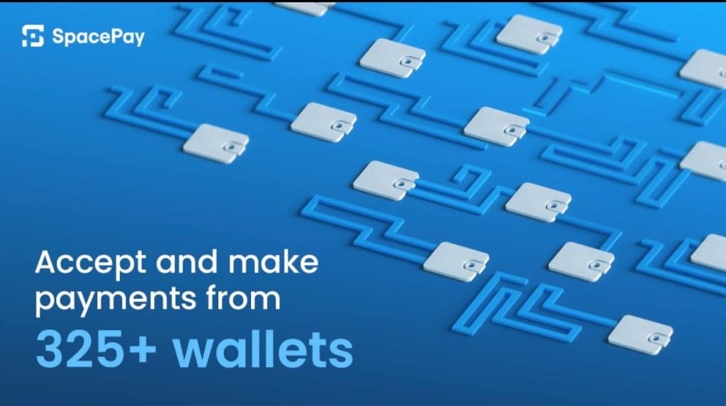 SpacePay nadert de $ 1 miljoen in presale opbrengsten - 4 redenen waarom SpacePay het volgende grote crypto project kan worden