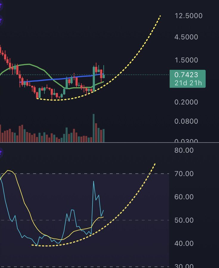 cardano analyse