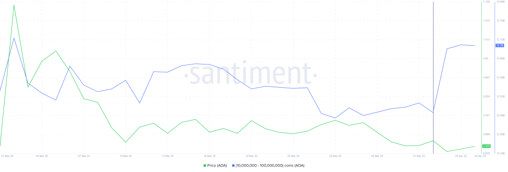 Cardano Whale Holding. Source: Santiment