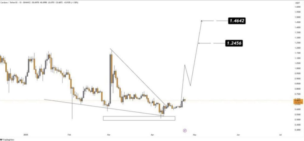 Cardano price chart