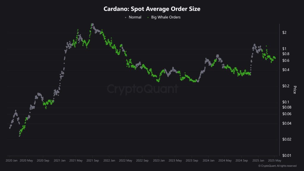 Spot Average Order Size Cardano