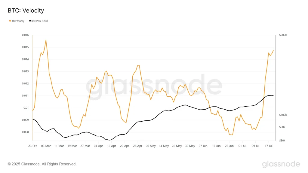Bitcoin Velocity. Source: Glassnode