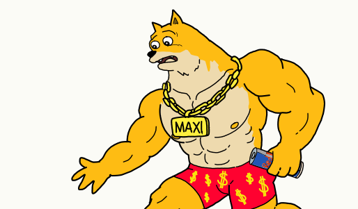 wat is maxi doge koers verwachting