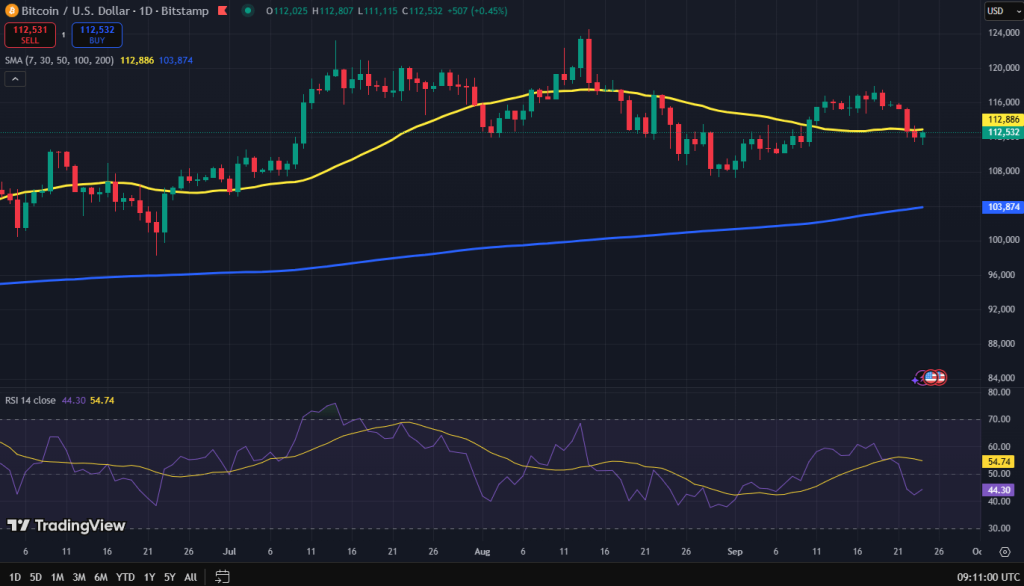 Bitcoin koers grafiek - Wat gaat bitcoin doen?