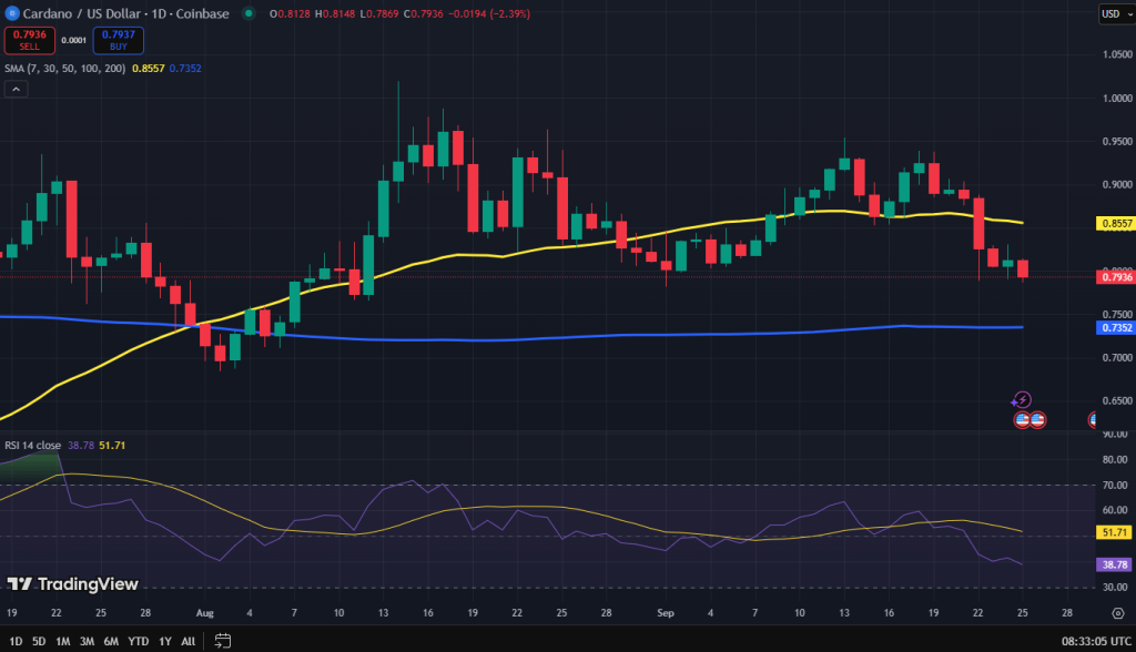 Cardano koers grafiek