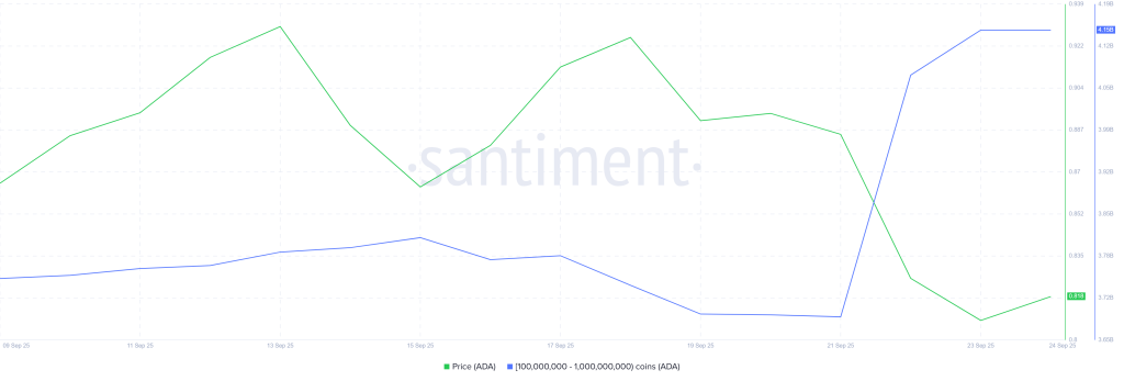 Cardano Whale Holdings. Source: Santiment