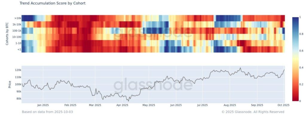 Bitcoin Trend Accumulation Score | Source: Glassnode