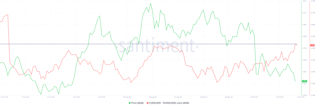Cardano Whale Holdings. | Source: Santiment