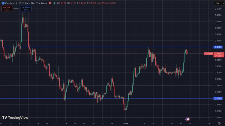 Cardano koers profiteert van whale aankopen en ETF volume.